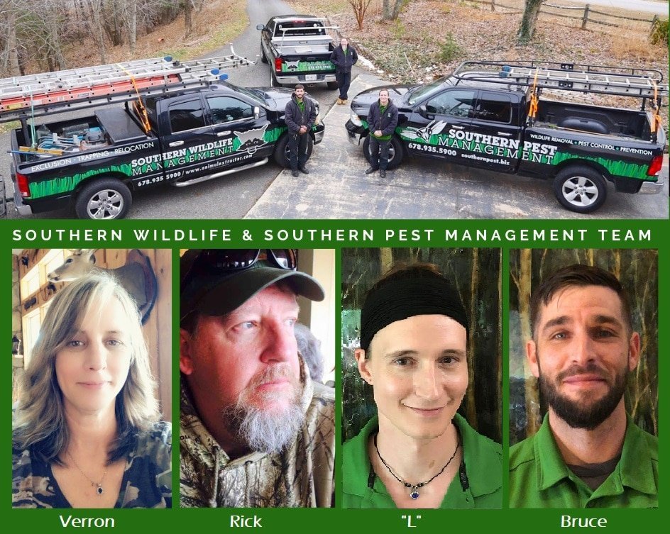 Southern Wildlife Management